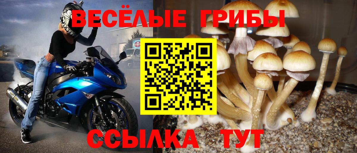 Галлюциногенные грибы Magic Shrooms  Вход с VPN  Южноуральск  Псилоцибиновые грибы MAGIC MUSHROOMS 