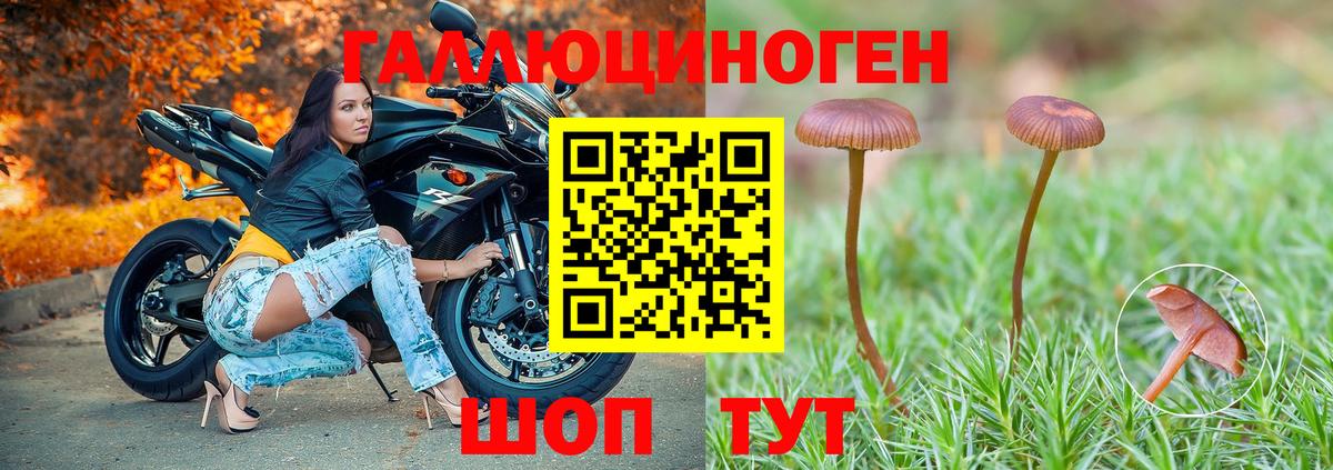 Галлюциногенные грибы GOLDEN TEACHER Южноуральск
